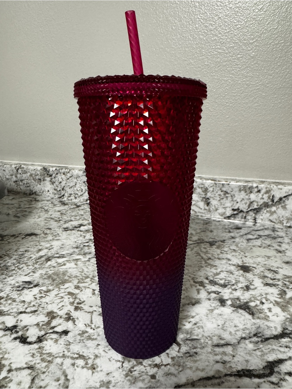 Starbucks Walt Disney World Tumbler